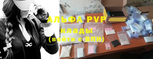 ешки Белокуриха