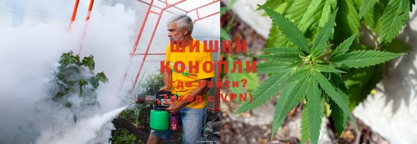 тгк Богородск