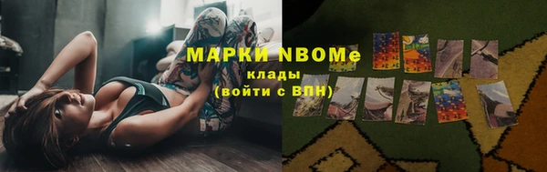 ешки Белокуриха